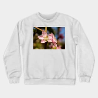 9315 apple ll Crewneck Sweatshirt